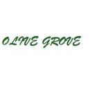 Olive Grove Logo